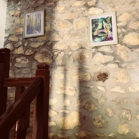Casa Aurelia Asturias